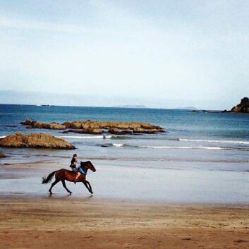 Riding a horse along Oakura Bay, Northland