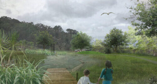 Oakura Wetland Enhancement Project rendering