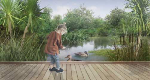 Oakura wetlands rendering
